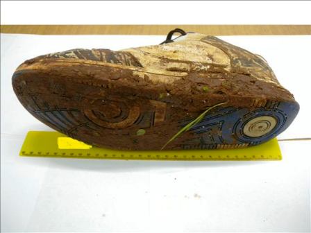 scarpe terra rapina